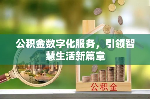 寿宁公积金数字化服务，引领智慧生活新篇章