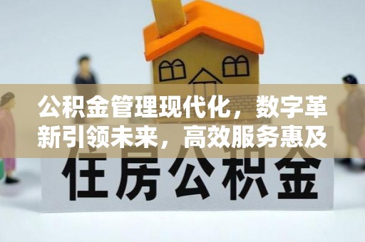 寿宁公积金管理现代化，数字革新引领未来，高效服务惠及民生