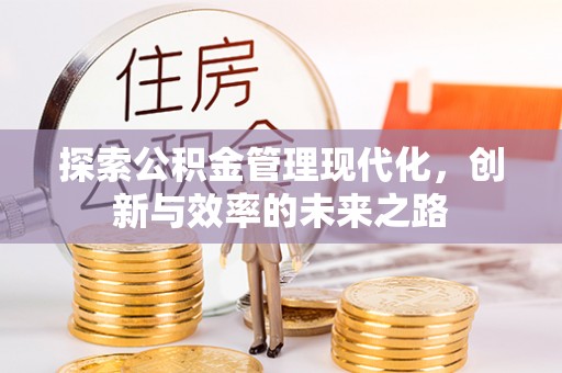 寿宁探索公积金管理现代化，创新与效率的未来之路