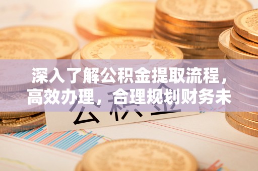 寿宁深入了解公积金提取流程，高效办理，合理规划财务未来