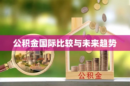 寿宁公积金国际比较与未来趋势