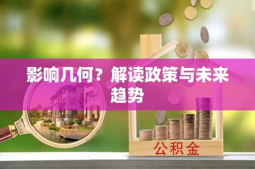 寿宁影响几何？解读政策与未来趋势