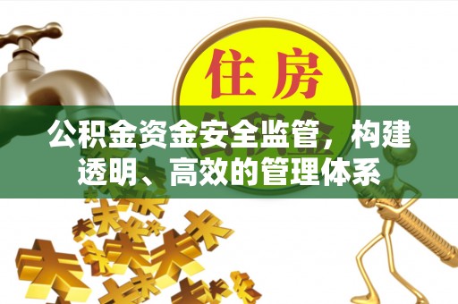 寿宁公积金资金安全监管，构建透明、高效的管理体系