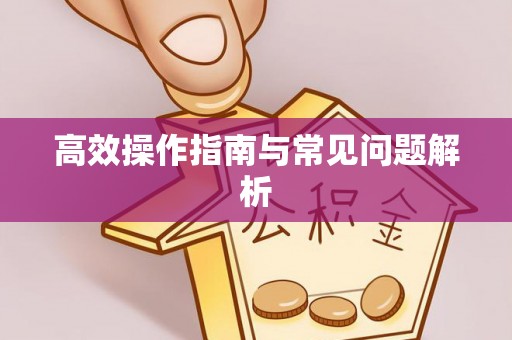 寿宁高效操作指南与常见问题解析
