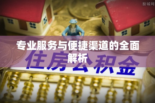 寿宁专业服务与便捷渠道的全面解析