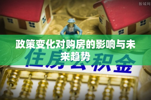寿宁政策变化对购房的影响与未来趋势
