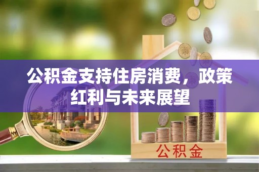 寿宁公积金支持住房消费，政策红利与未来展望