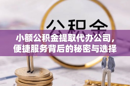 寿宁小额公积金提取代办公司，便捷服务背后的秘密与选择指南