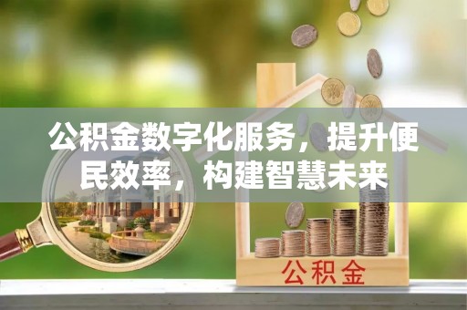 寿宁公积金数字化服务，提升便民效率，构建智慧未来