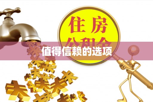 寿宁值得信赖的选项