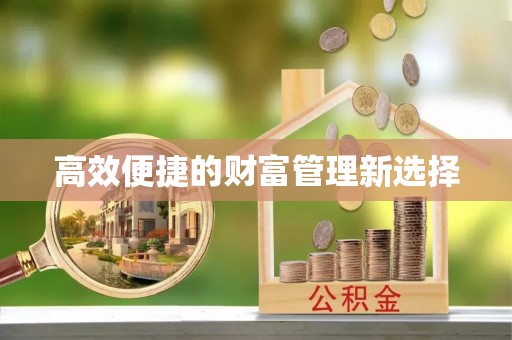 寿宁高效便捷的财富管理新选择