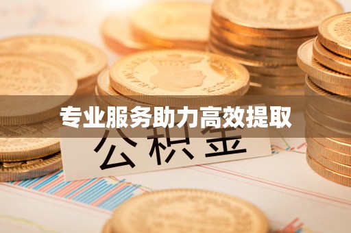 寿宁专业服务助力高效提取