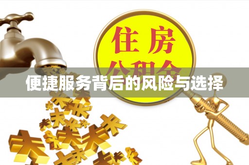 寿宁便捷服务背后的风险与选择