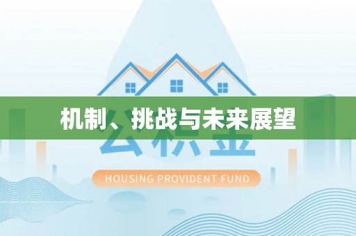 寿宁机制、挑战与未来展望