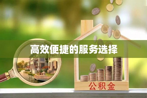 寿宁高效便捷的服务选择